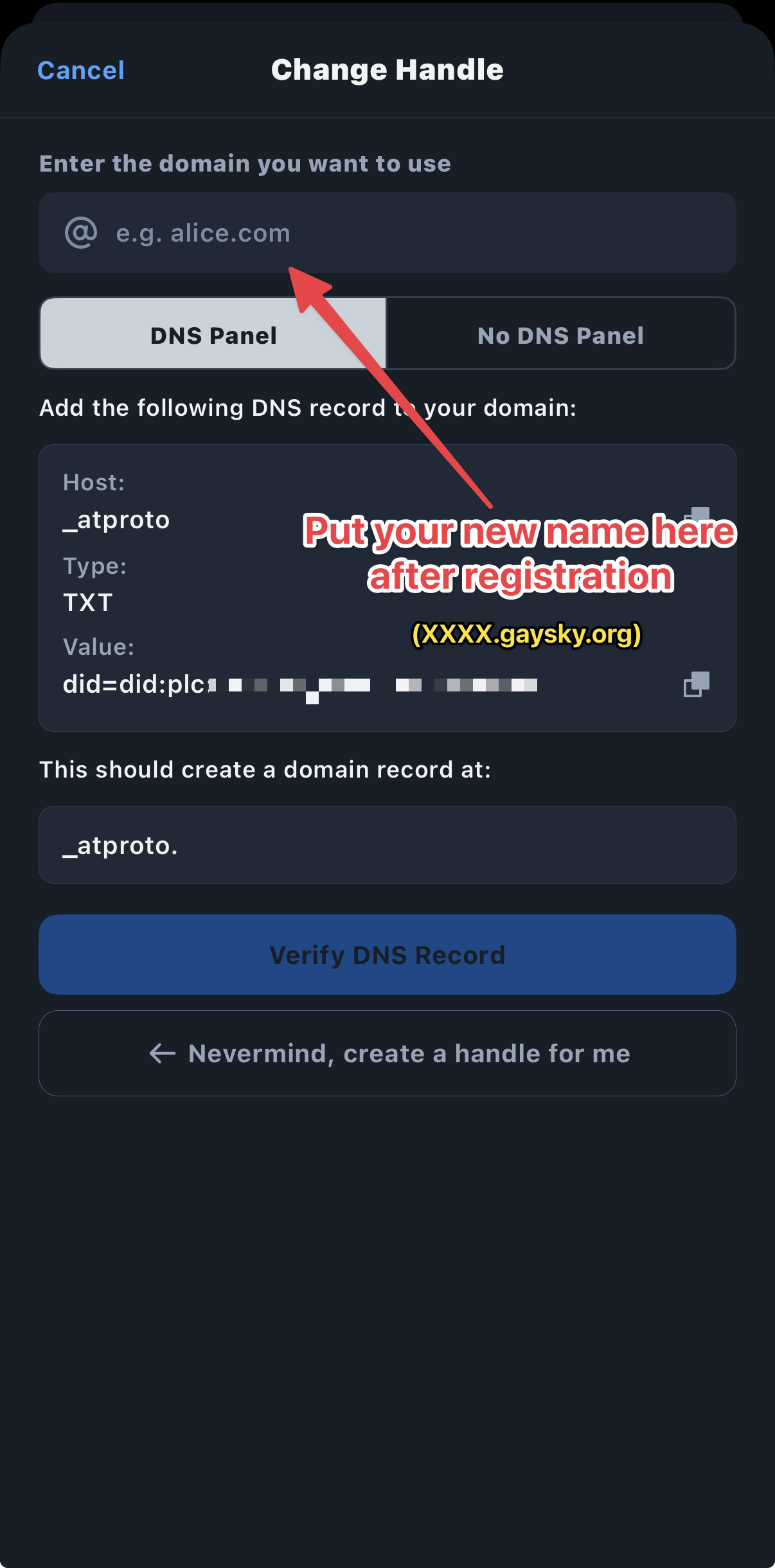 Screenshot showing where to input the new gaysky.org handle and verify it.